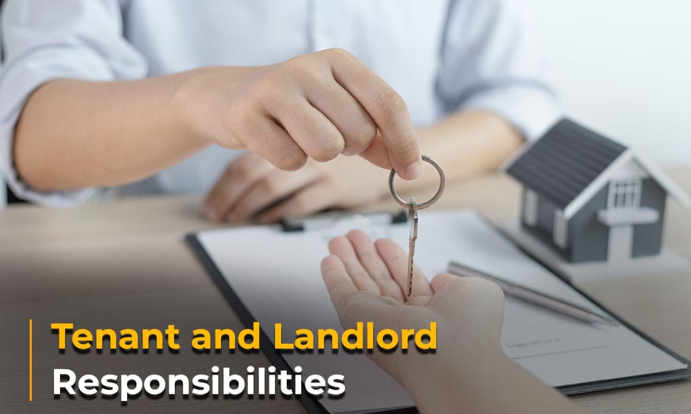 Tenant and landlord responsibilities