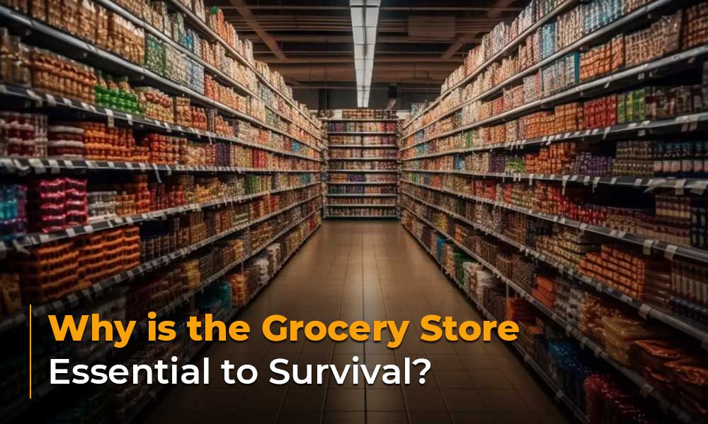 Why is the Grocery Store Essential to Survival?