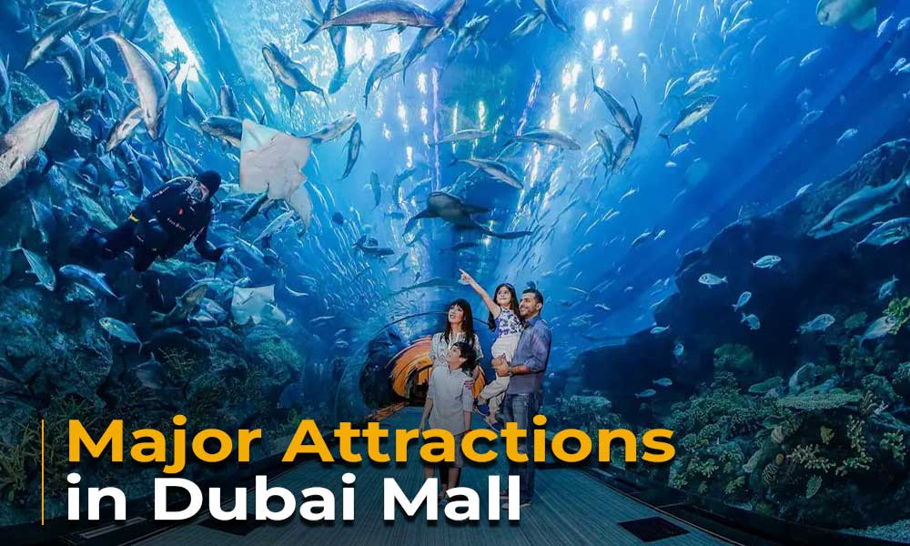 Major Attractions in Dubai Mall