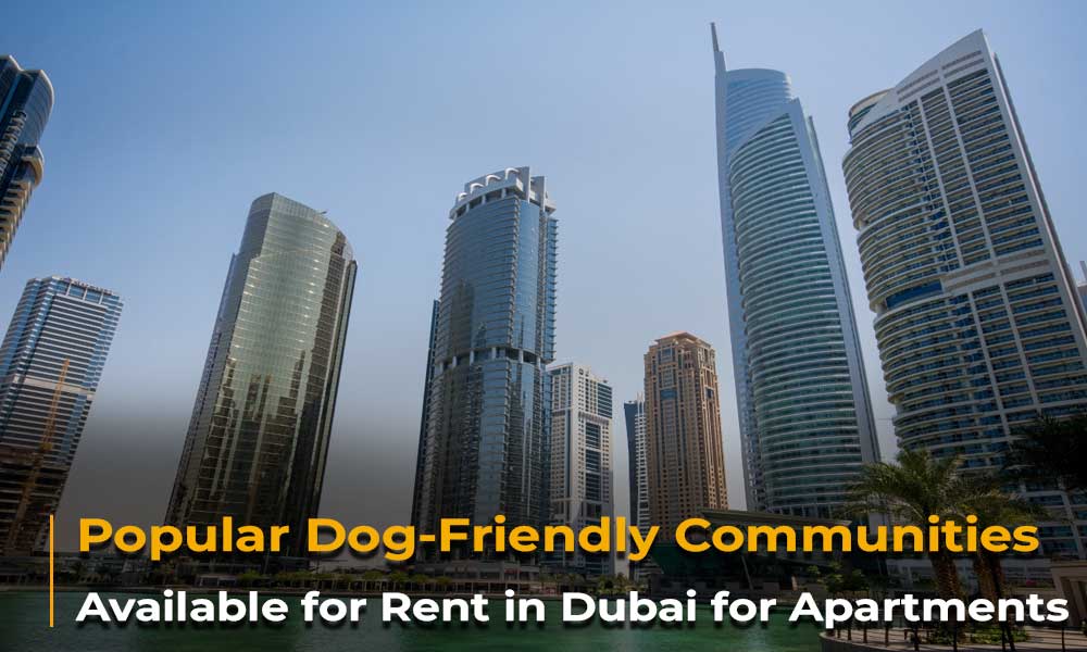 Popular Dog-Friendly Communities Available for Rent in Dubai for Apartments